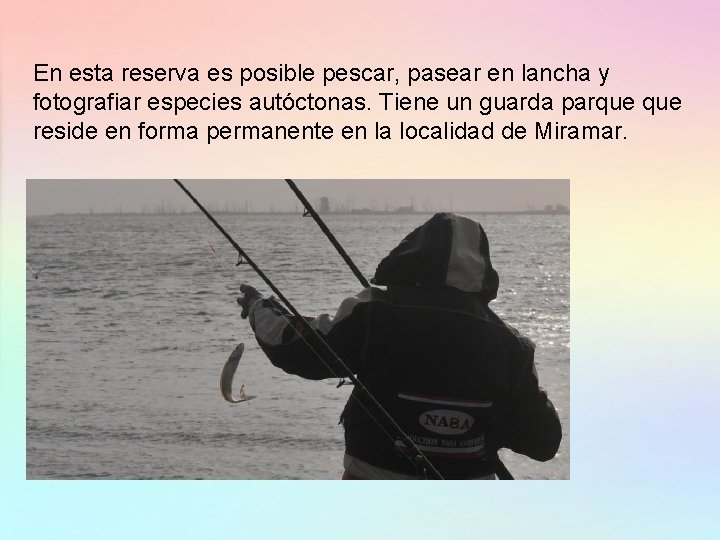 En esta reserva es posible pescar, pasear en lancha y fotografiar especies autóctonas. Tiene