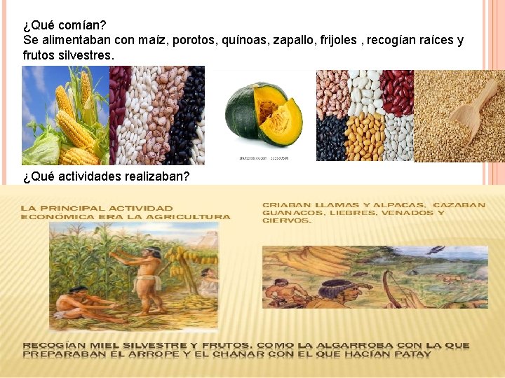 ¿Qué comían? Se alimentaban con maíz, porotos, quínoas, zapallo, frijoles , recogían raíces y