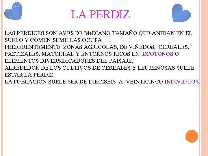 LA PERDIZ LAS PERDICES SON AVES DE Me. DIANO TAMAÑO QUE ANIDAN EN EL