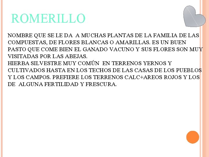 ROMERILLO NOMBRE QUE SE LE DA A MUCHAS PLANTAS DE LA FAMILIA DE LAS