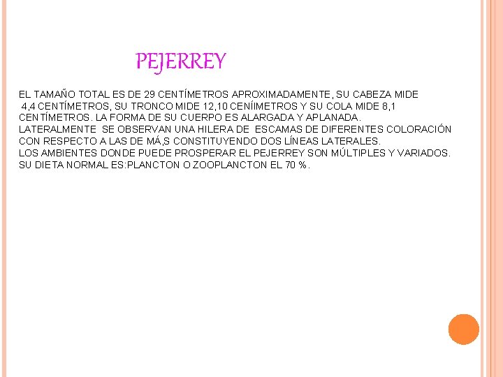 PEJERREY EL TAMAÑO TOTAL ES DE 29 CENTÍMETROS APROXIMADAMENTE, SU CABEZA MIDE 4, 4