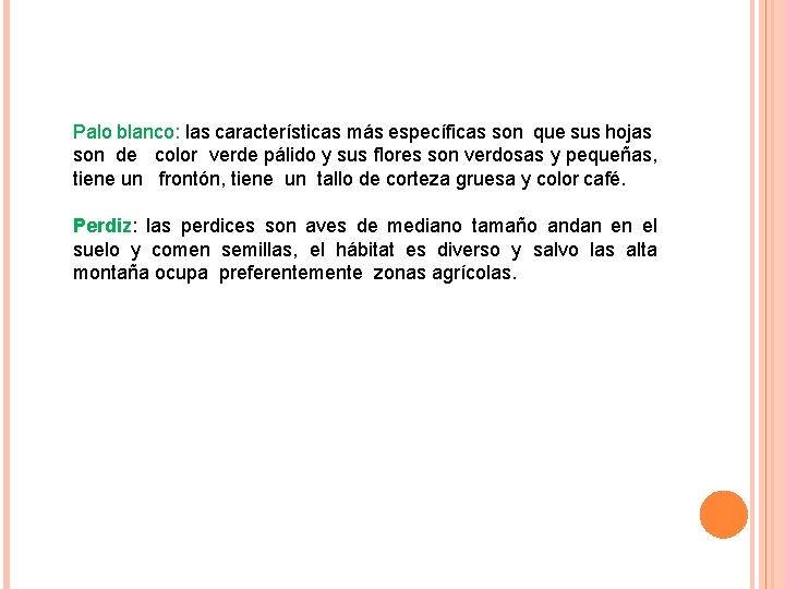 Palo blanco: las características más específicas son que sus hojas son de color verde