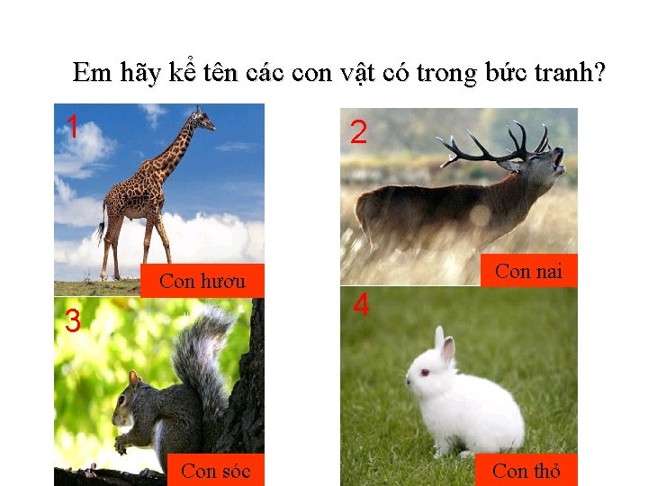 Em hãy kể tên các con vật có trong bức tranh? 1 2 Con