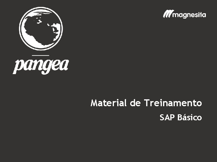 Material de Treinamento SAP Básico 