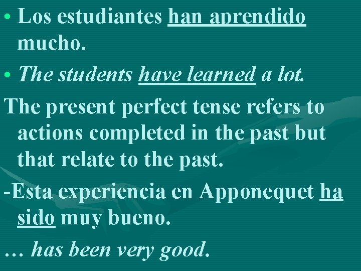  • Los estudiantes han aprendido mucho. • The students have learned a lot.