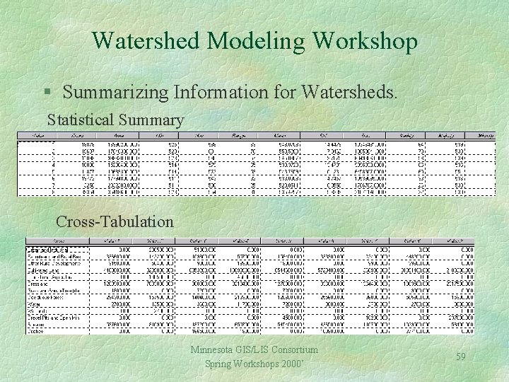 Watershed Modeling Workshop § Summarizing Information for Watersheds. Statistical Summary Cross-Tabulation Minnesota GIS/LIS Consortium