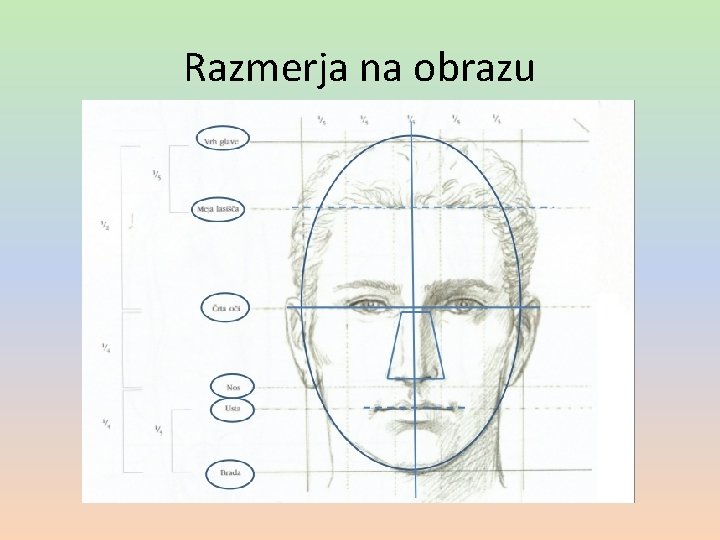 Razmerja na obrazu 