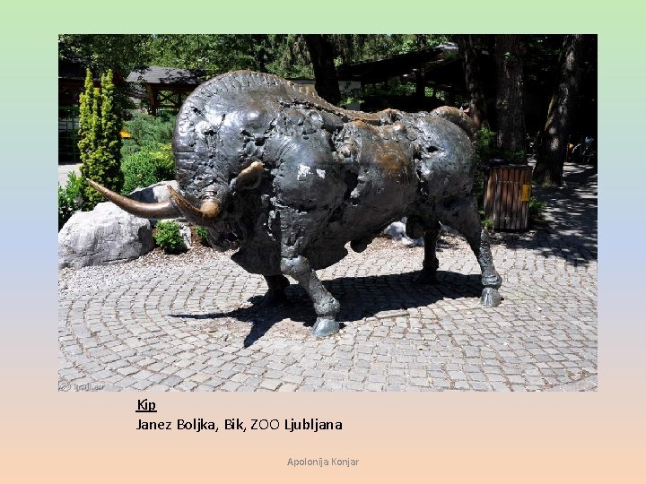 Kip Janez Boljka, Bik, ZOO Ljubljana Apolonija Konjar 