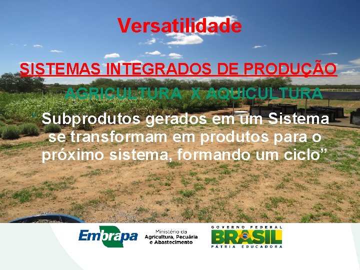 Versatilidade SISTEMAS INTEGRADOS DE PRODUÇÃO AGRICULTURA X AQUICULTURA “ Subprodutos gerados em um Sistema