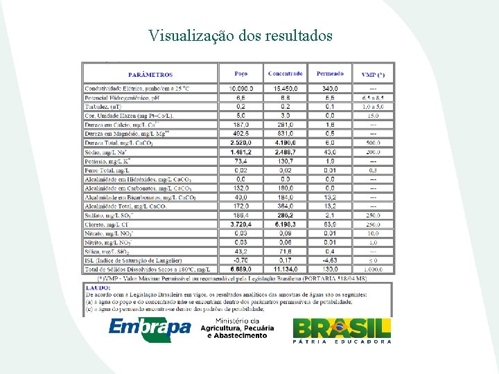 Visualização dos resultados 