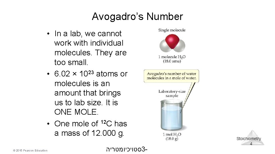 Avogadro’s Number • In a lab, we cannot work with individual molecules. They are