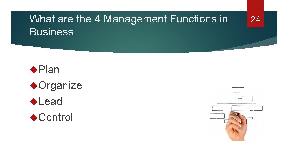 What are the 4 Management Functions in Business Plan Organize Lead Control 24 