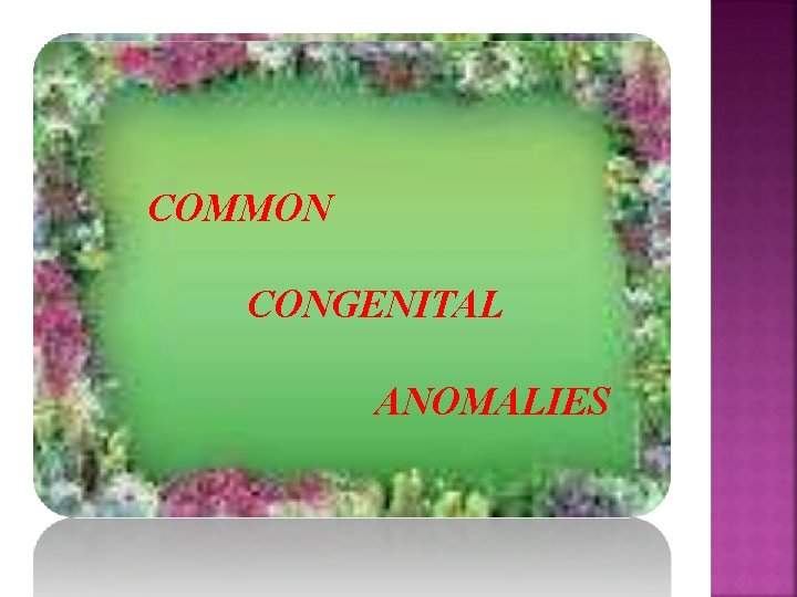 COMMON CONGENITAL ANOMALIES 