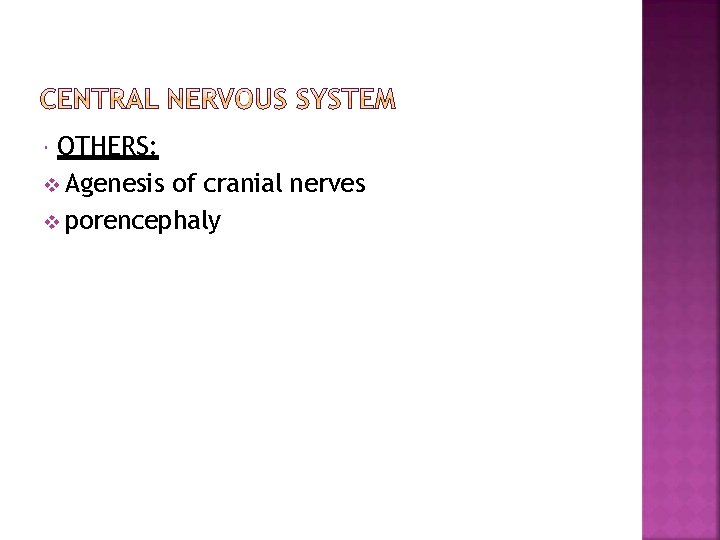 OTHERS: Agenesis of cranial nerves porencephaly 