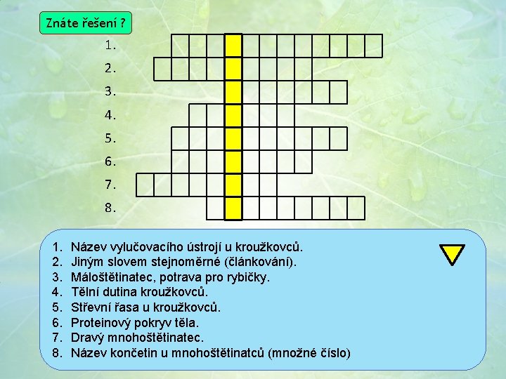 Znáte řešení ? 1. 2. 3. 4. 5. 6. 7. 8. Název vylučovacího ústrojí