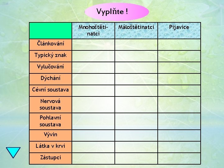 Vyplňte ! Mnohoštětinatci Článkování Typický znak Vylučování Dýchání Cévní soustava Nervová soustava Pohlavní soustava