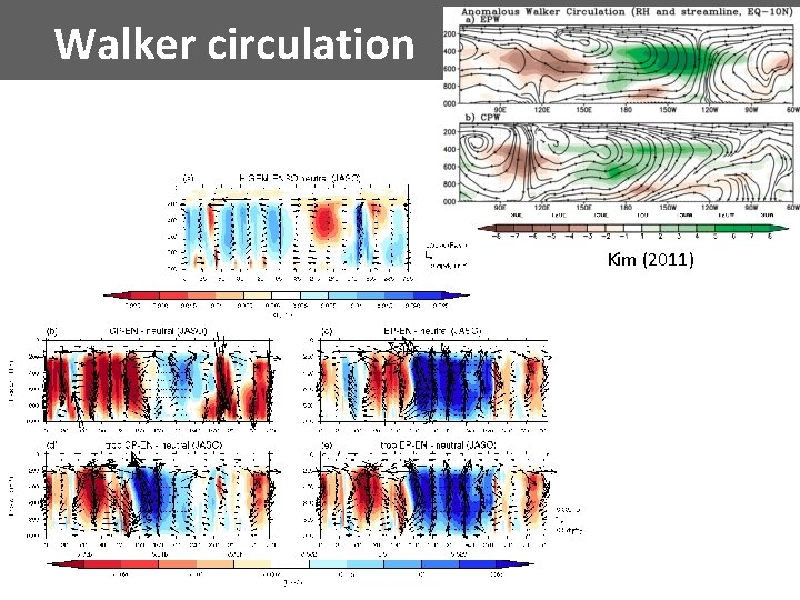 Walker circulation Kim (2011) 