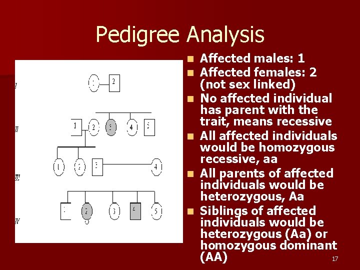 Pedigree Analysis n n n Affected males: 1 Affected females: 2 (not sex linked)