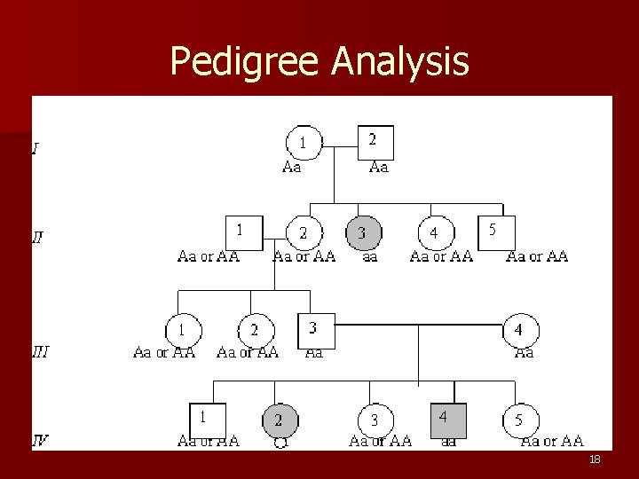 Pedigree Analysis 18 