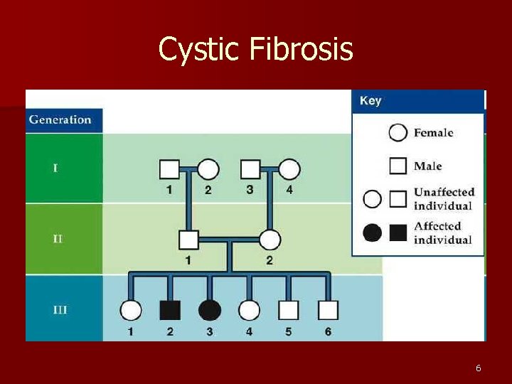 Cystic Fibrosis 6 