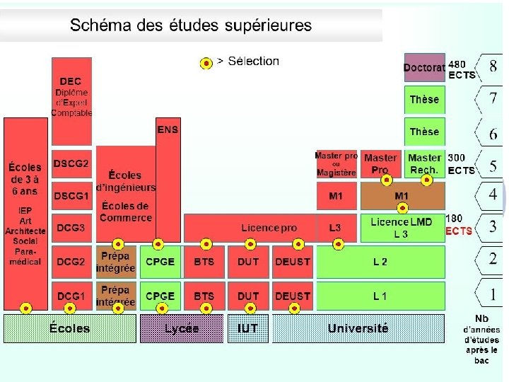 Quels débouchés? Schéma de la poursuite d’étude 