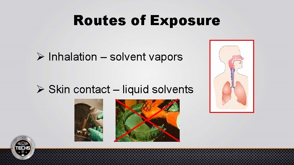 Routes of Exposure Ø Inhalation – solvent vapors Ø Skin contact – liquid solvents