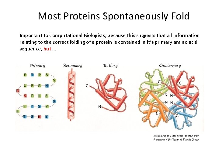 Most Proteins Spontaneously Fold Important to Computational Biologists, because this suggests that all information
