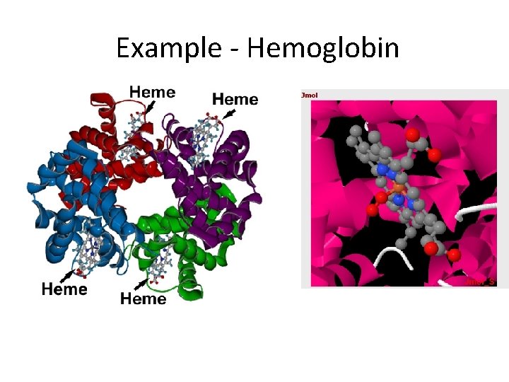 Example - Hemoglobin 