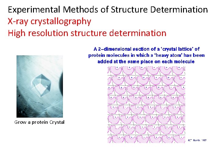 Experimental Methods of Structure Determination X-ray crystallography High resolution structure determination Grow a protein