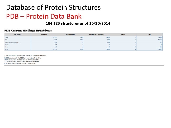 Database of Protein Structures PDB – Protein Data Bank 104, 125 structures as of