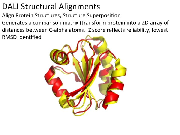 DALI Structural Alignments Align Protein Structures, Structure Superposition Generates a comparison matrix (transform protein
