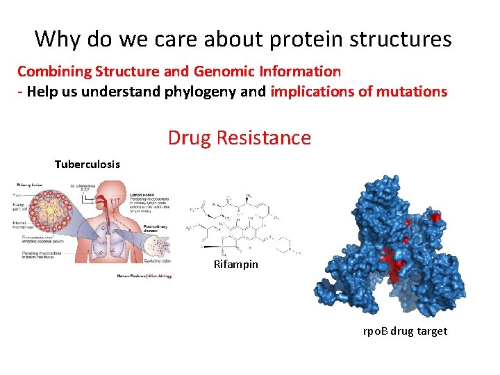 Why do we care about protein structures Combining Structure and Genomic Information - Help