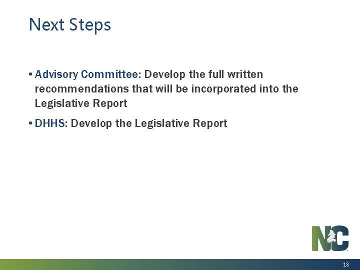 Next Steps • Advisory Committee: Develop the full written recommendations that will be incorporated