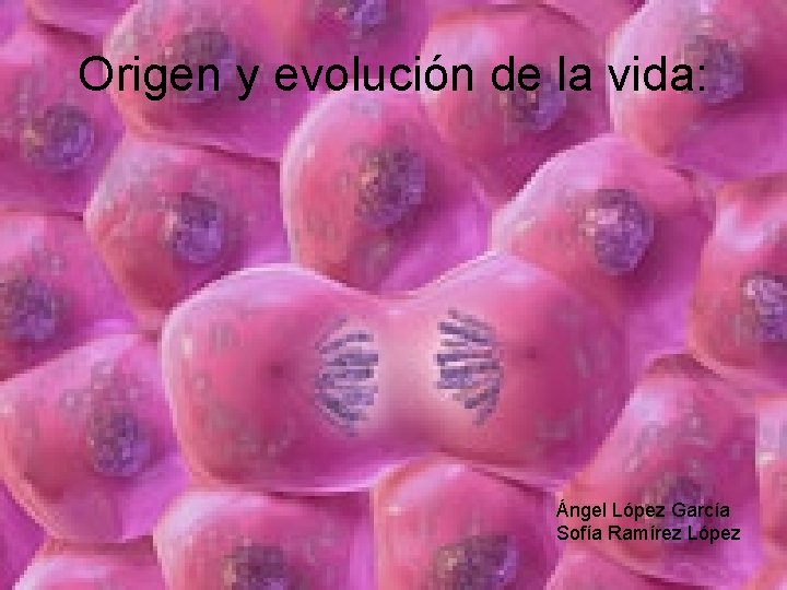 Origen y evolución de la vida: Ángel López García Sofía Ramírez López Origen y evolución de la vida: Ángel López García Sofía Ramírez López