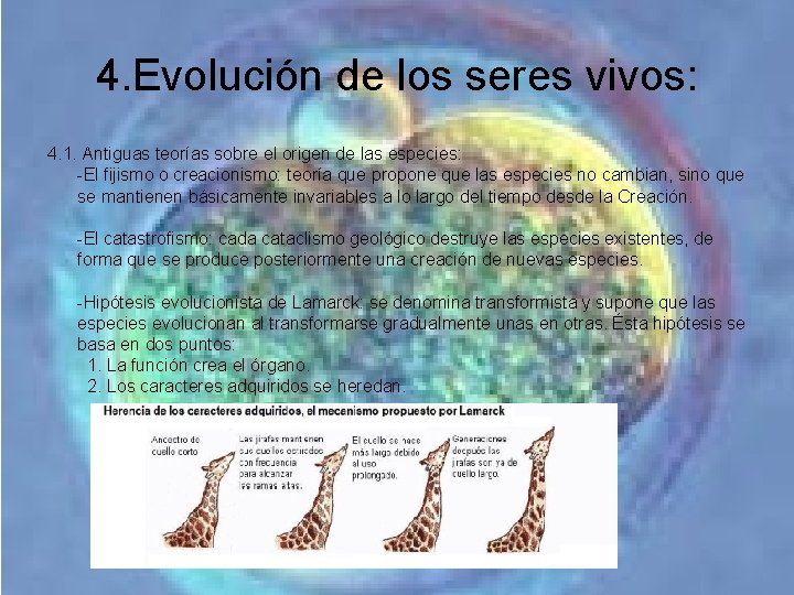 4. Evolución de los seres vivos: 4. 1. Antiguas teorías sobre el origen de 4. Evolución de los seres vivos: 4. 1. Antiguas teorías sobre el origen de