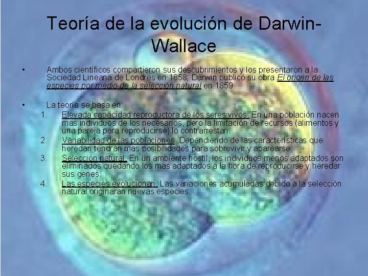 Teoría de la evolución de Darwin. Wallace • Ambos científicos compartieron sus descubrimientos y Teoría de la evolución de Darwin. Wallace • Ambos científicos compartieron sus descubrimientos y