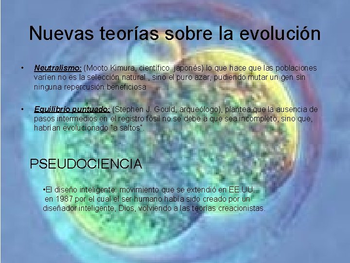 Nuevas teorías sobre la evolución • Neutralismo: (Mooto Kimura, científico japonés) lo que hace Nuevas teorías sobre la evolución • Neutralismo: (Mooto Kimura, científico japonés) lo que hace