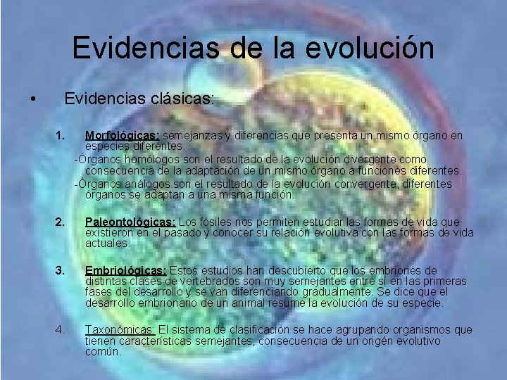 Evidencias de la evolución • Evidencias clásicas: 1. Morfológicas: semejanzas y diferencias que presenta Evidencias de la evolución • Evidencias clásicas: 1. Morfológicas: semejanzas y diferencias que presenta