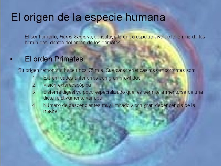 El origen de la especie humana El ser humano, Homo Sapiens, constituye la única El origen de la especie humana El ser humano, Homo Sapiens, constituye la única