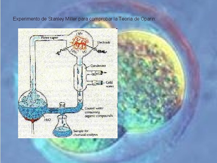 Experimento de Stanley Miller para comprobar la Teoría de Oparin: Experimento de Stanley Miller para comprobar la Teoría de Oparin: