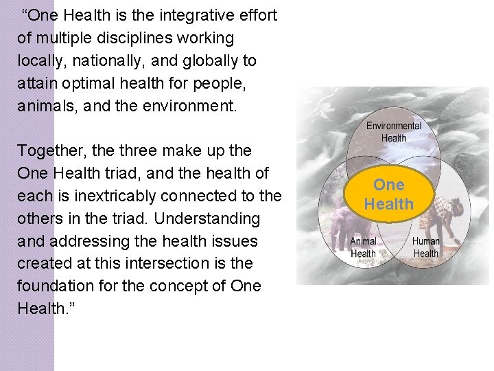 “One Health is the integrative effort of multiple disciplines working locally, nationally, and globally