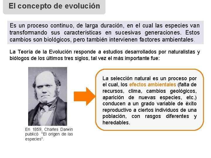 El concepto de evolución Es un proceso continuo, de larga duración, en el cual