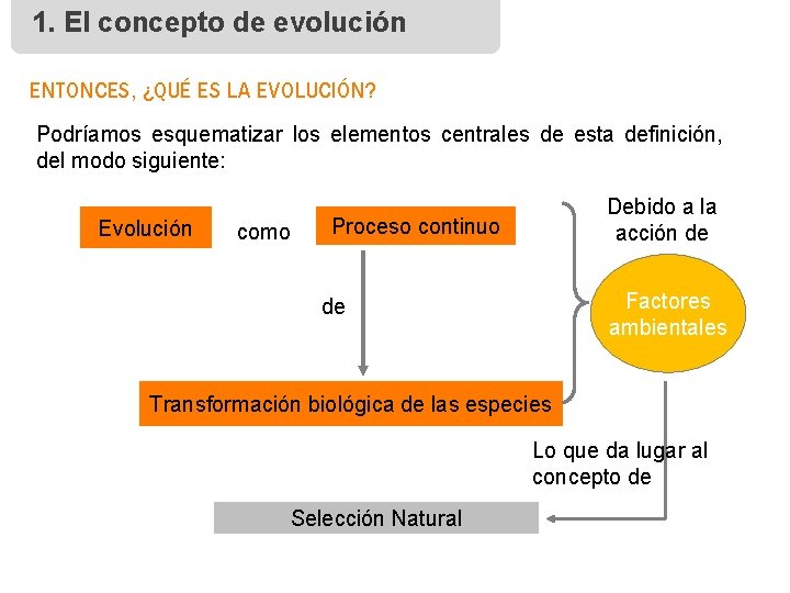 1. El concepto de evolución ENTONCES, ¿QUÉ ES LA EVOLUCIÓN? Podríamos esquematizar los elementos
