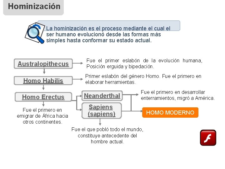 Hominización La hominización es el proceso mediante el cual el ser humano evolucionó desde