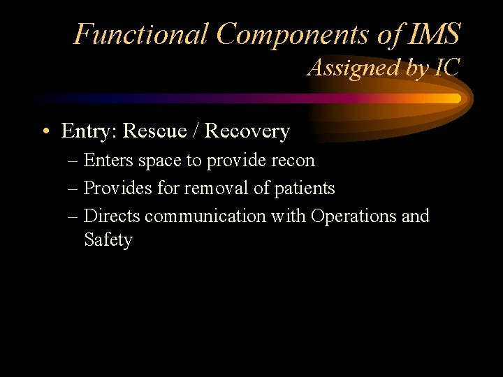 Functional Components of IMS Assigned by IC • Entry: Rescue / Recovery – Enters Functional Components of IMS Assigned by IC • Entry: Rescue / Recovery – Enters
