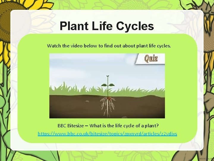 Plant Life Cycles Watch the video below to find out about plant life cycles.