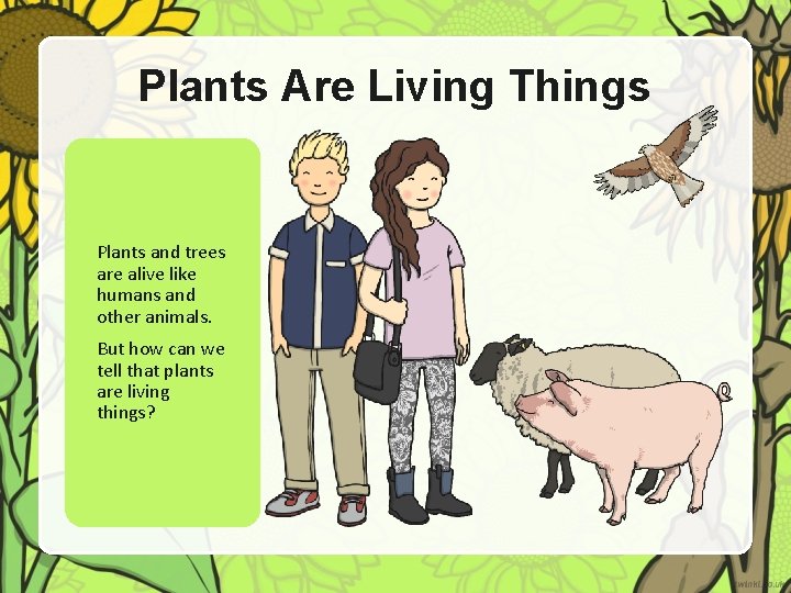 Plants Are Living Things Plants and trees are alive like humans and other animals.