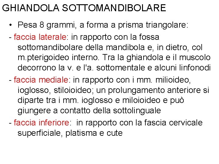 GHIANDOLA SOTTOMANDIBOLARE • Pesa 8 grammi, a forma a prisma triangolare: - faccia laterale: