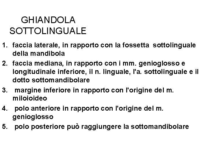 GHIANDOLA SOTTOLINGUALE 1. faccia laterale, in rapporto con la fossetta sottolinguale della mandibola 2.