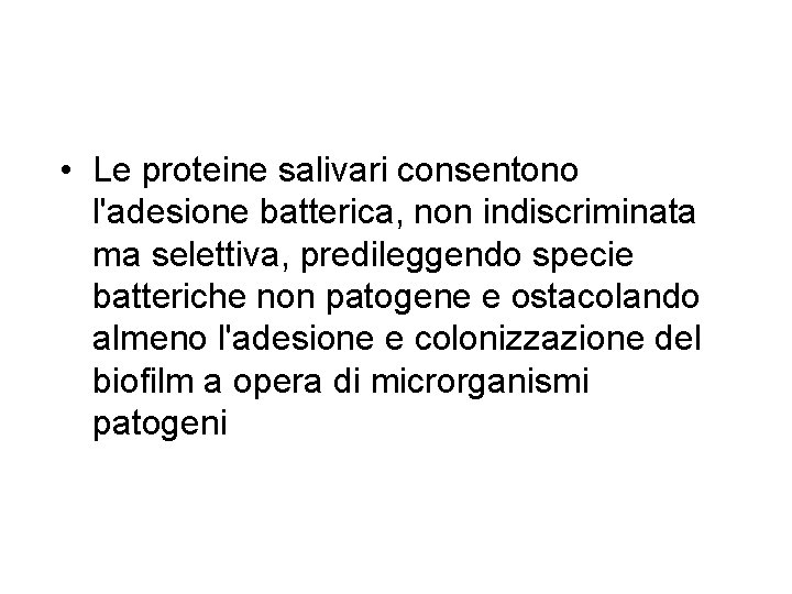  • Le proteine salivari consentono l'adesione batterica, non indiscriminata ma selettiva, predileggendo specie